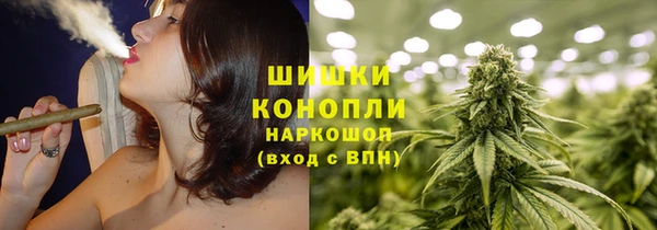 шишки Медногорск