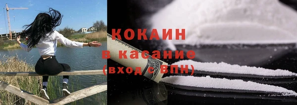 дживик Мегион