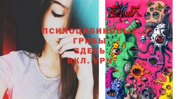 дживик Мегион