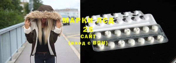 шишки Медногорск