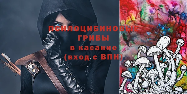 дживик Мегион