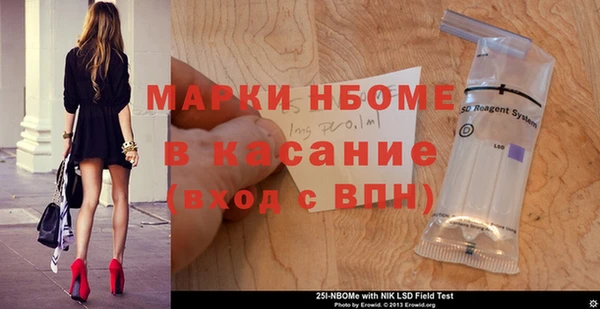 шишки Медногорск
