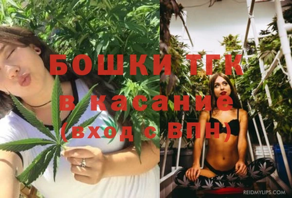 шишки Медногорск