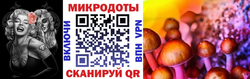 закладки  Таганрог  Псилоцибиновые грибы Psilocybe 
